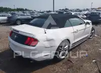 2020 Ford MUSTANG photo
