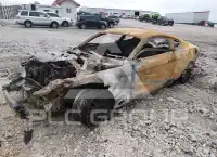 2020 Ford MUSTANG фото