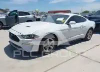 2020 Ford MUSTANG photo