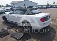 2020 Ford MUSTANG photo