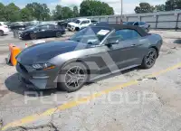 2020 Ford MUSTANG photo