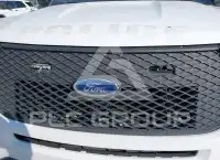 2020 Ford POLICE фото
