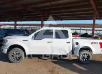 2020 Ford F-150 photo