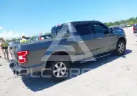 2020 Ford F-150 фото