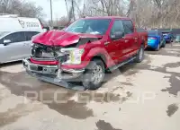 2020 Ford F-150 photo