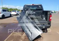 2020 Ford F-150 photo