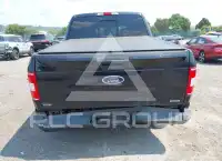 2020 Ford F-150 photo
