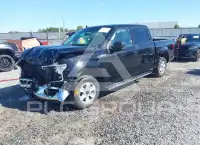 2020 Ford F-150 фото