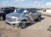 2020 Ford F-150 photo