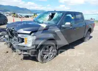 2020 Ford F-150 фото