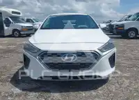 2020 Hyundai Ioniq фото