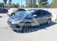 2020 Hyundai Ioniq фото