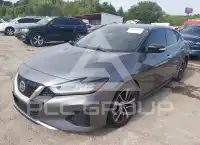 2021 Nissan MAXIMA photo