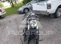 2021 Harley-Davidson XL883 photo
