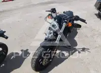 2021 Harley-Davidson XL1200 фото