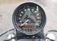 2021 Harley-Davidson XL1200 photo