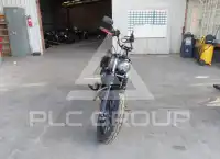 2021 Harley-Davidson XL1200 photo