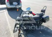 2021 Harley-Davidson XL1200 фото