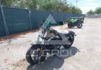 2021 Harley-Davidson XL1200 photo