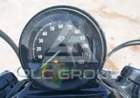 2021 Harley-Davidson XL1200 photo