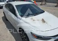 2021 Chevrolet Malibu фото