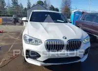 2021 BMW X4 фото