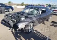 2021 Dodge CHALLENGER photo