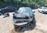 2021 Honda CIVIC photo