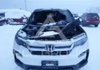 2021 Honda PILOT photo