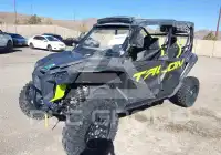 2021 Honda SXS1000 фото