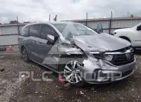 2021 Honda ODYSSEY фото