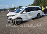 2021 Honda ODYSSEY photo