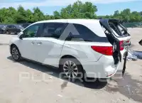 2021 Honda ODYSSEY фото