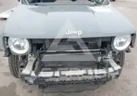 2021 Jeep Renegade фото