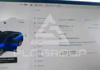2021 Tesla Model Y фото