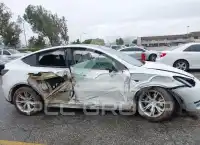 2021 Tesla Model Y photo