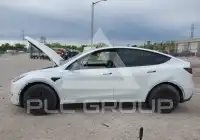 2021 Tesla Model Y фото