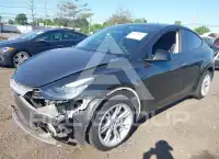 2021 Tesla Model Y photo