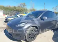 2021 Tesla Model Y photo
