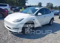 2021 Tesla Model Y фото