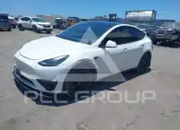 2021 Tesla Model Y photo