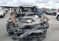2021 Tesla Model Y фото