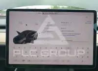 2021 Tesla Model Y photo