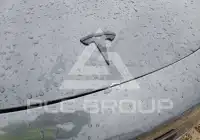 2021 Tesla Model 3 photo