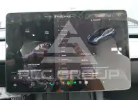 2021 Tesla Model 3 фото
