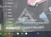 2021 Tesla Model 3 фото