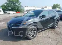 2021 Lexus NX300 photo