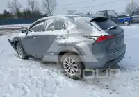 2021 Lexus NX300 фото