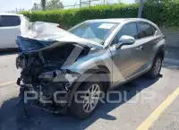 2021 Lexus NX300 фото