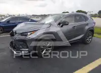 2021 Lexus NX300 photo